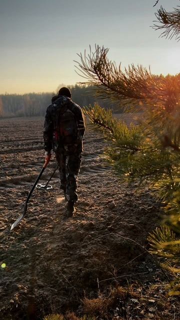 Поиск с металлоискателем