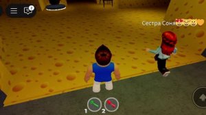 Крыса в сырном лимберинте в Roblox