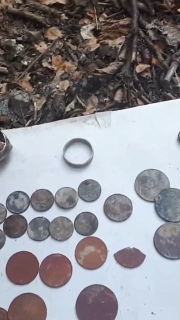 Нашел серебро на пляже и много монет #металлоискатель смотреть онлайн