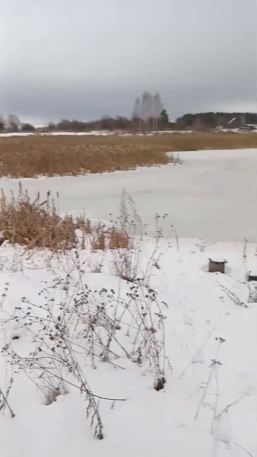 Мотоблок и адаптер 4х4  нива