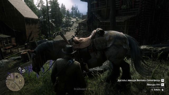RDR 2 Задание с Микки
