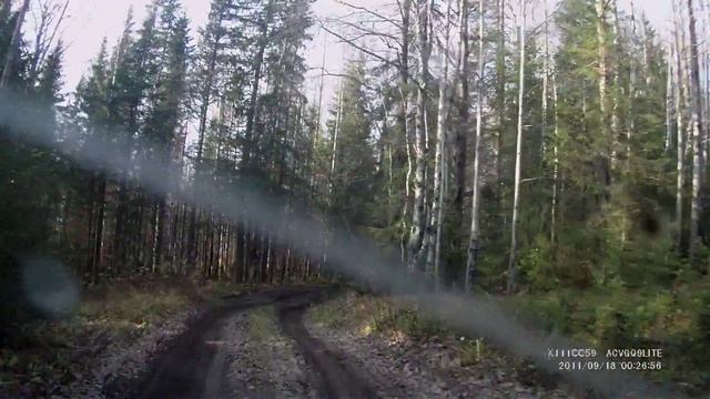 Дорога на Полюд1