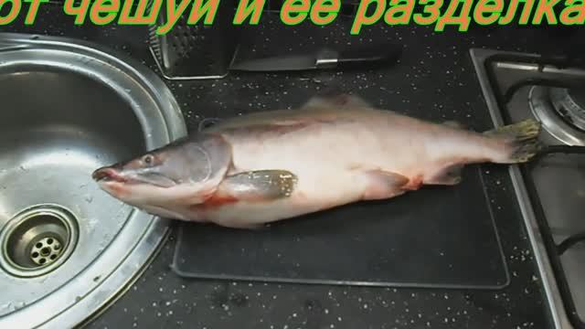 Как очистить горбушу от чешуи и её разделать. смотреть онлайн