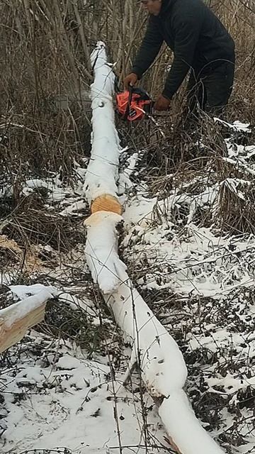 Как быстро напилить дров бензопилой 💥 смотреть онлайн