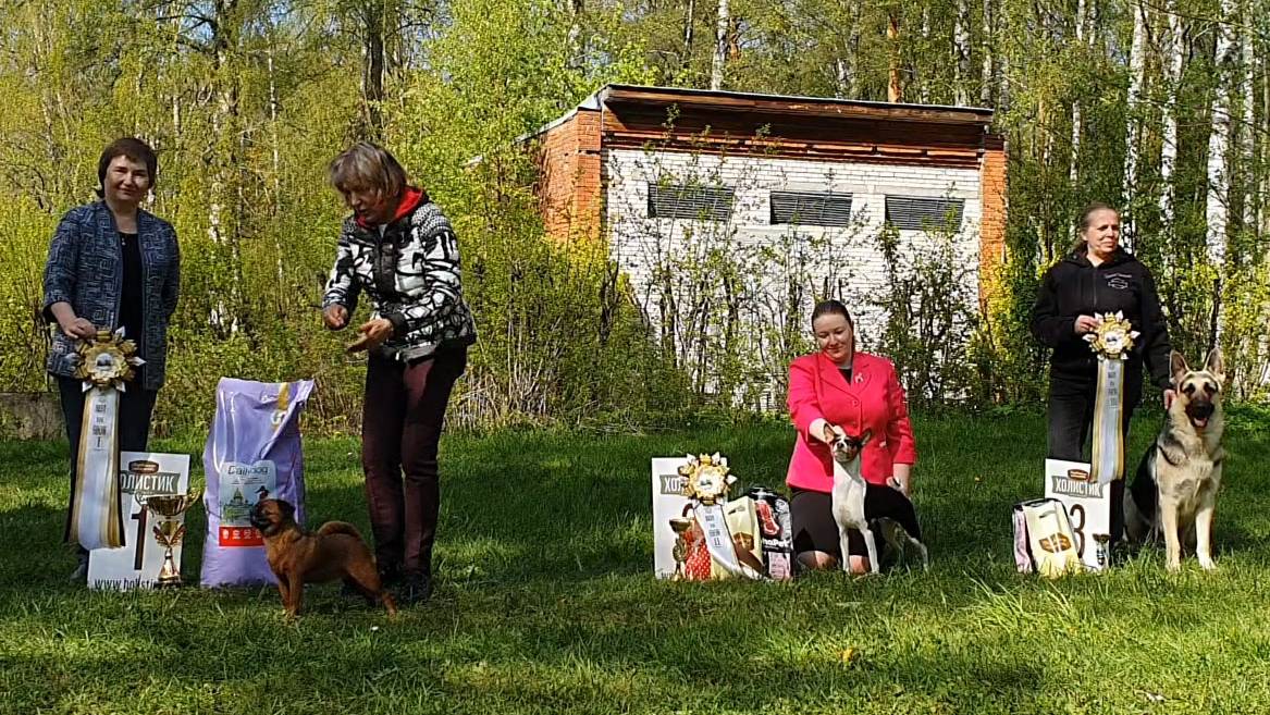 17.05.2025, СПб. Клуб "Империя" (РКФ, РФОС). Выставка собак всех пород "КУБОК ИМПЕРИИ" (САС, ЧФ) смотреть онлайн
