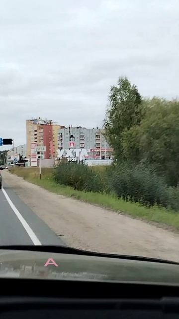 Пересадка😍