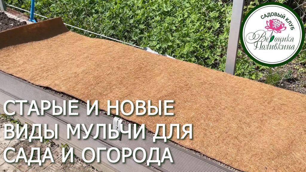 Старые и новые способы мульчирования смотреть онлайн
