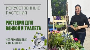 Растения для ванной комнаты и для туалета: не болеют, неприхотливые и тенелюбивые. Искусственные?
