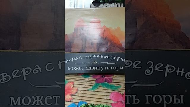 МОЯ ВЕРА ДВИЖЕТ ГОРЫ!!