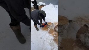 -Обзор бензопилы! JONSER BS5800-