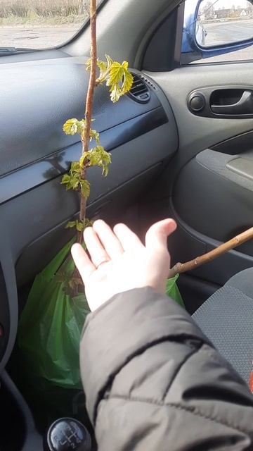 Я осознала свою взрослость