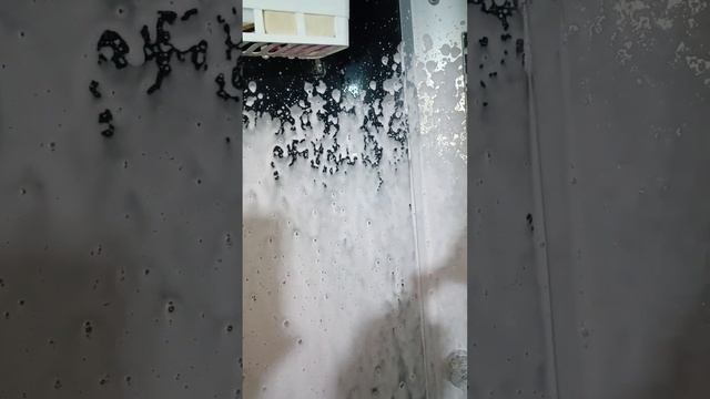 ПЕНОГЕНЕРАТОР ПОСЛЕ МОДЕРНИЗАЦИИ.