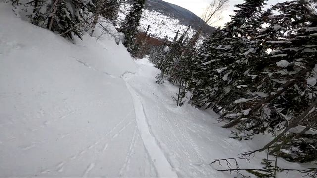 Весенний Скитур в Шерегеше с Bear Powder Surfs. Март 2021