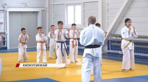 Киокусинкай - что это?