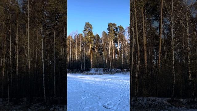 Коньки на лесном озере, теннис в Востоке с Ф и Т смотреть онлайн