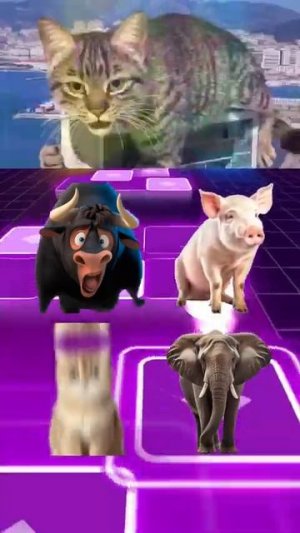 БЫК ФЕРДИНАНД x ПОРОСЯТА x КОТИКИ x СЛОНЫ играют в шарики Tiles Hop
