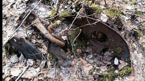 Весенняя разведка усов старой УЖД. Нашёл хорошую погрузку с металлом . #УЖД #копметалла  #металлокоп