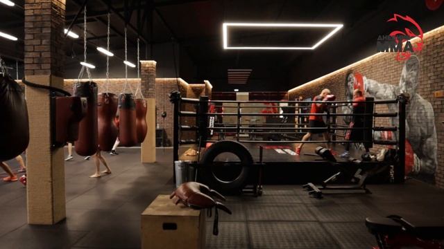Тренировка по боксу / Boxing Training смотреть онлайн