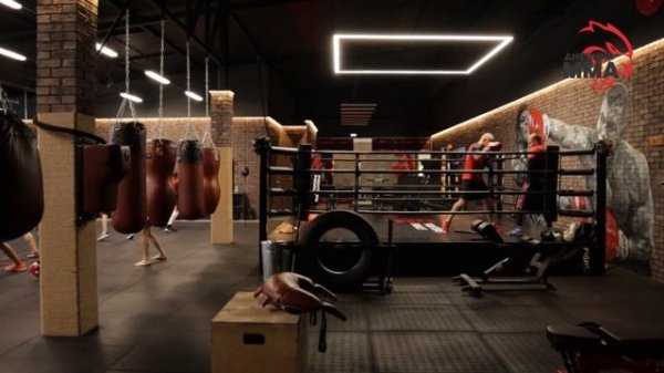 Тренировка по боксу / Boxing Training