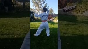 хьёнг дангун на жёлтый пояс