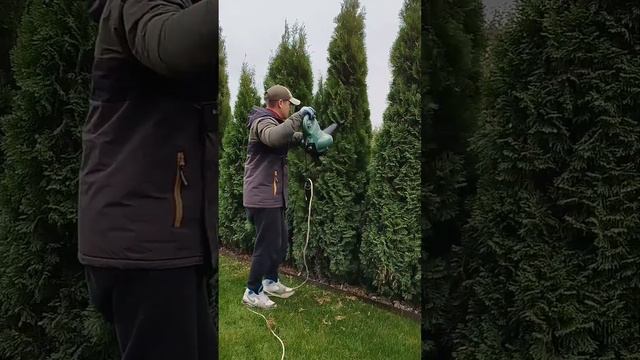 чистка туй. робота садівника. електродуйчик. як бистро смотреть онлайн
