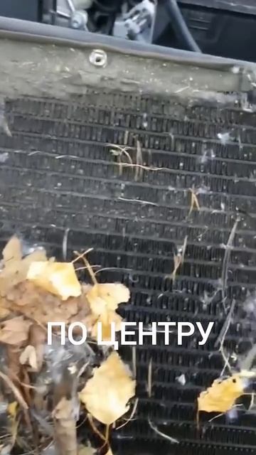 Этот Ferrari никогда не мыли! смотреть онлайн