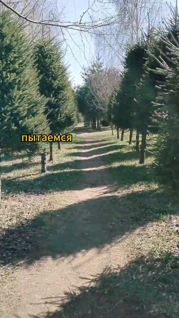 фрагмент практики 