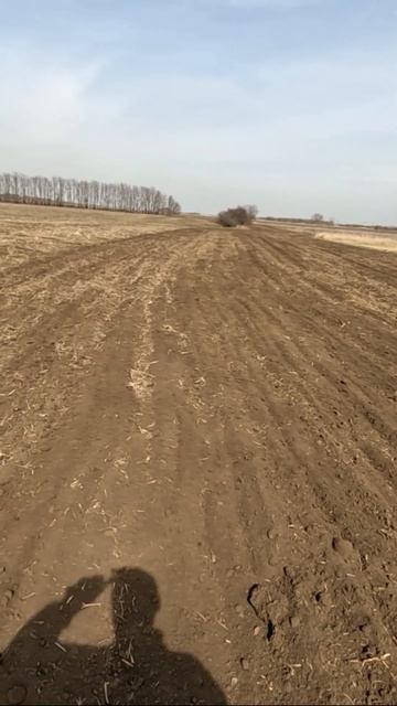 Первый выезд в поле Культивация КПС - 4.2 #земледелие#mtz8 смотреть онлайн