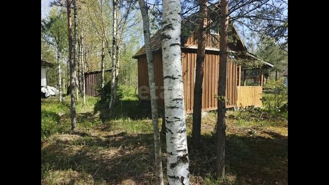 некоммерческое товарищество Глобус, Центральная улица смотреть онлайн
