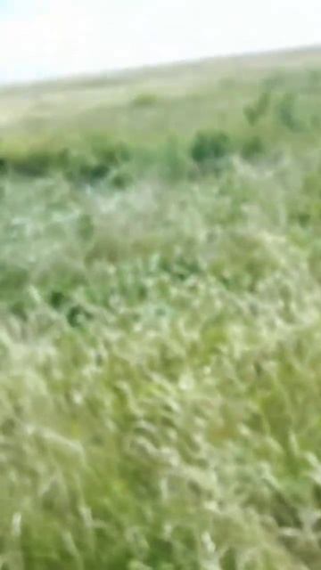 частые мусорные настройки на старых деревнях. #металл? смотреть онлайн