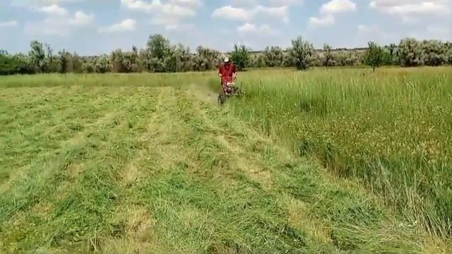 Сенокос 2024 мотоблоком роторная косилка заря