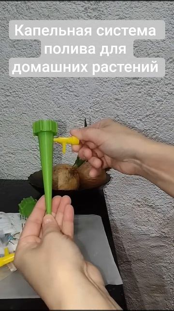 Система капельного автополива для комнатных растений