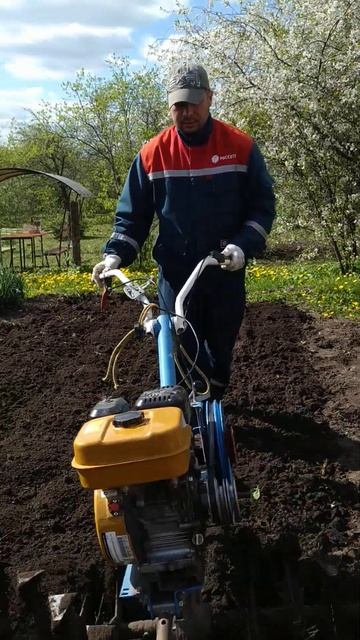 КУЛЬТИВАЦИЯ ЗЕМЛИ ГУСЕЛАПКАМИ ПОД ГРЯДКИ👍🦾 смотреть онлайн