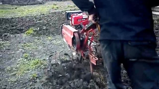 Мотоблок МБ-1 "ЛУЧ" 1988 г.в. (культивируем огород) смотреть онлайн