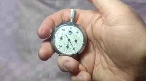 114 _24 Шагомер ЗАРЯ