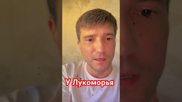 #пушкин #straykids #лукоморье #225 #стихи #поэзия смотреть онлайн