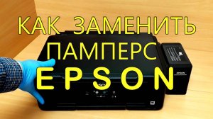 Замена памперса Epson L220, L222, L210, L350, L362, L486 Инструкция. Самостоятельно. БЕСПЛАТНО