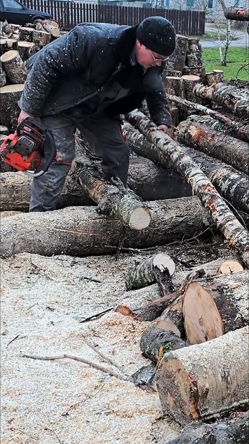 Профессиональная бензопила. Заготовка дров. #chainsaw смотреть онлайн
