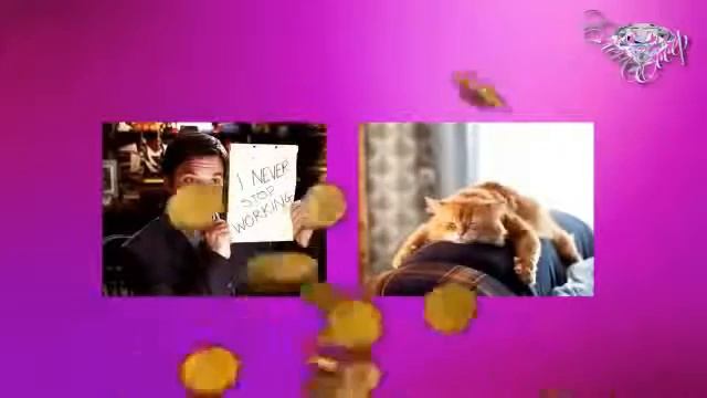 Первое знакомство со SBC