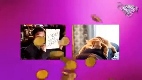 Первое знакомство со SBC