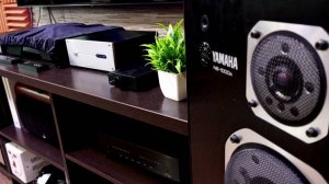 Соберем и послушаем бюджетную аудиосистему