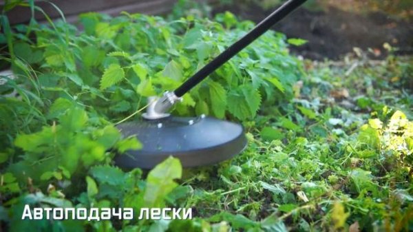 Триммер электрический EBC-1200, BOJET