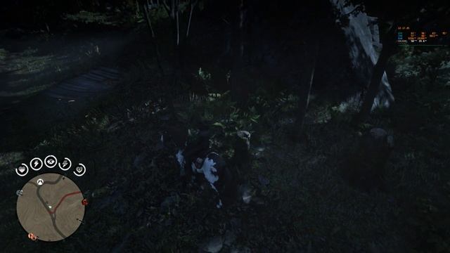 Red Dead Redemption 2 интересное место, зачем оно сделано? смотреть онлайн