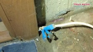 Сгорели оригинальные ваги   Соединяем медь с алюминие?