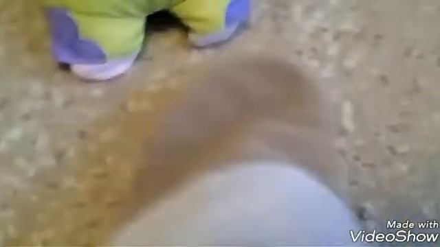 История тапка смотреть онлайн