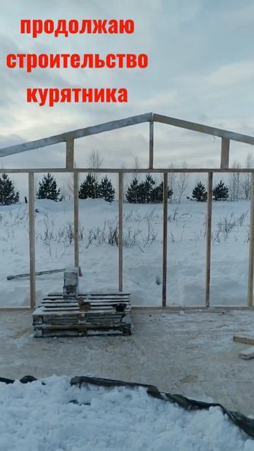 Продолжаю строительство своего курятника зимой, разм? смотреть онлайн