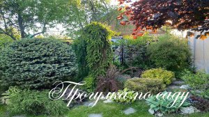 ЛУЧШАЯ ПЛАНИРОВКА ПОСАДОК И СТРОЕНИЙ для ДАЧИ 6 СОТОК /Май 2024