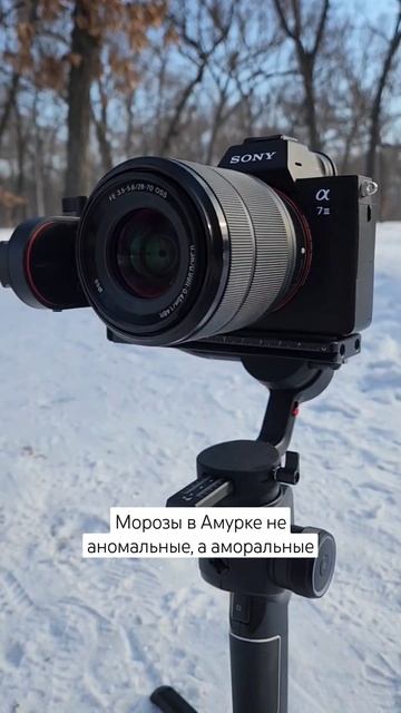 переехала из Владивостока, в Благовещенск #shortsfeed