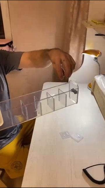 8 февраля 2024 г.