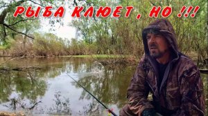 РЫБА КЛЮЕТ , НО НЕ ТО ЧТО ХОЧЕТСЯ !!! Рыбалка в Обских разливах !
